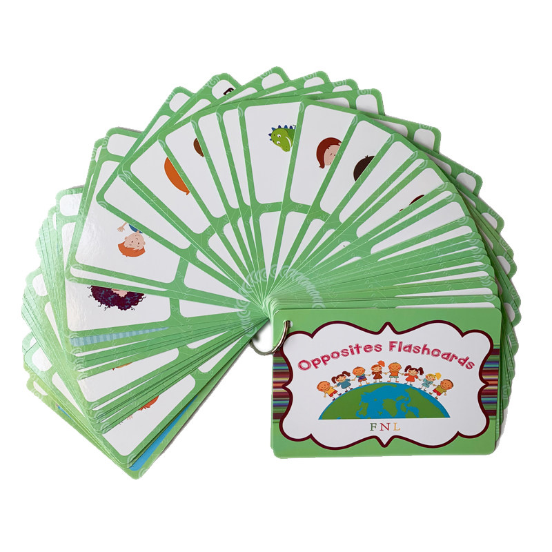 Kids Education Product - 100 cartes mémoire sur les groupes