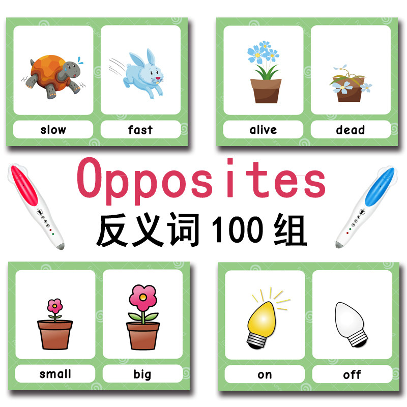 100 cartes mémoire sur les gro - Kids Education Product avis et prix