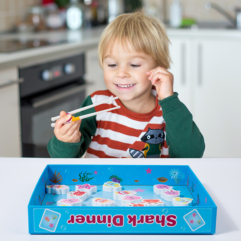 Jeu de société assorti en form - Kids Nature Education avis et prix