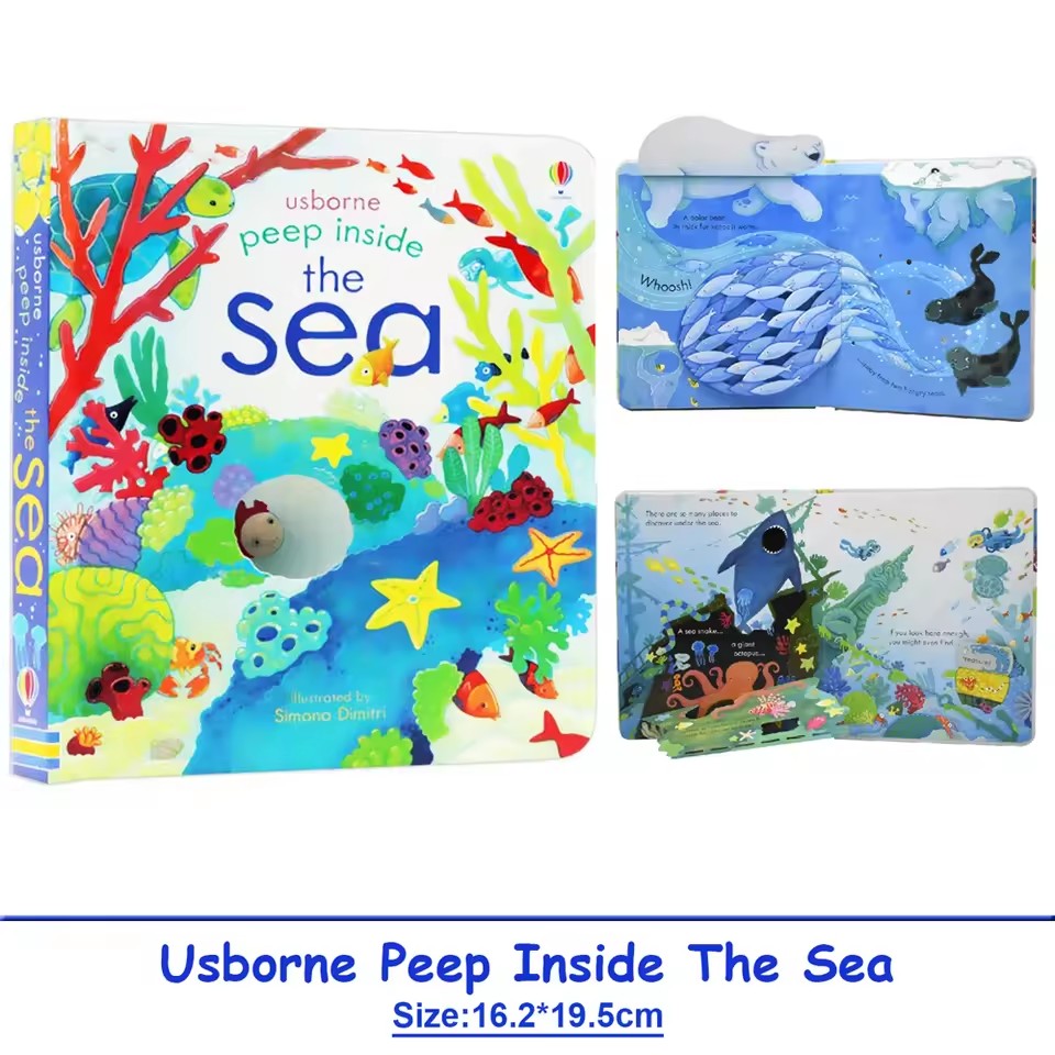 Usborne Peep Inside The Sea, l - Kids Nature Education avis et prix