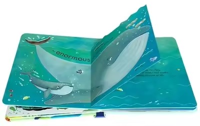Usborne Peep Inside The Sea, l - Kids Nature Education avis et prix