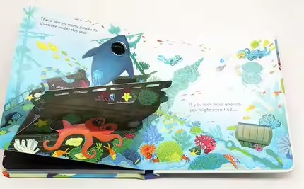 Usborne Peep Inside The Sea, l - Kids Nature Education avis et prix