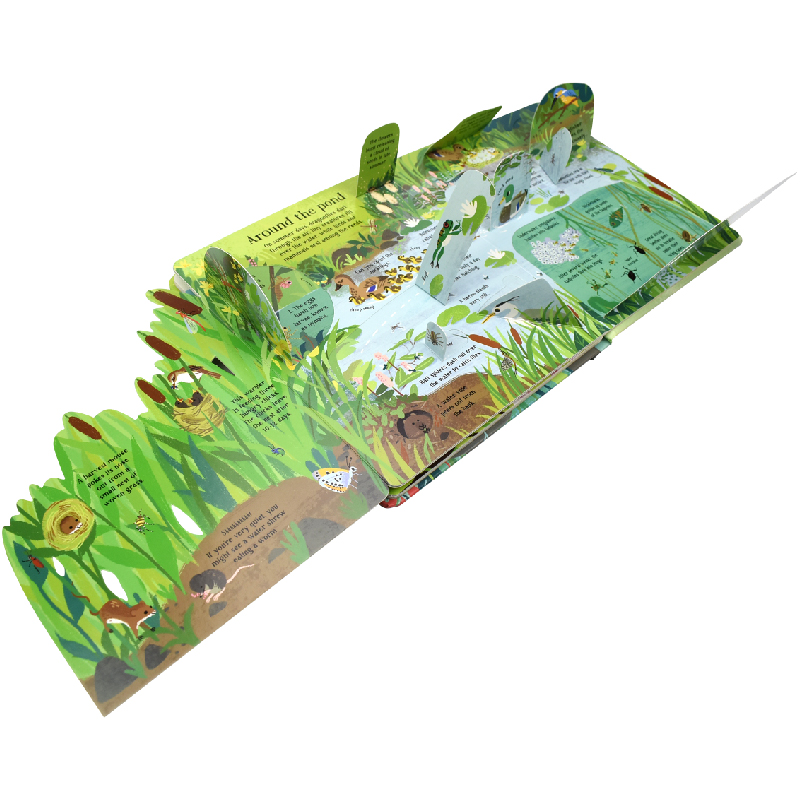 Anglais Montessori 3D Usborne  - Kids Nature Education avis et prix
